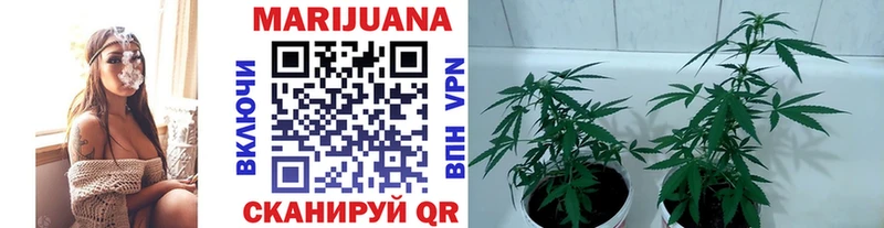 Названия наркотиков Вышний Волочёк ГАШ  Конопля  COCAIN  Мефедрон 