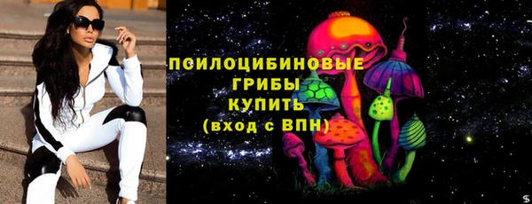 a pvp Белокуриха
