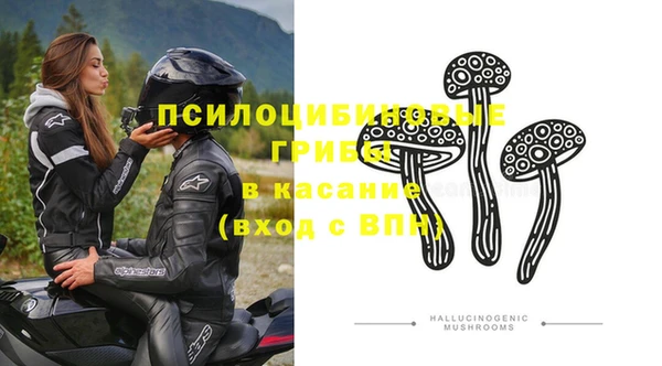 мяу мяу мука Беломорск