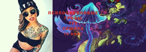 мяу мяу мука Беломорск