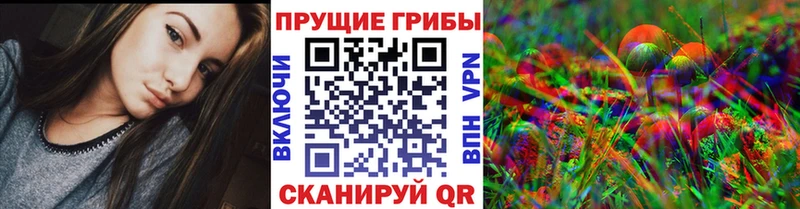 Псилоцибиновые грибы ЛСД  купить наркотик  Вышний Волочёк 